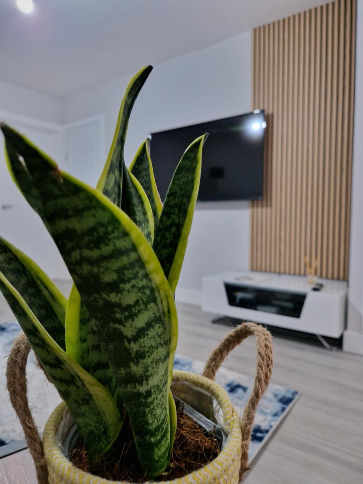 Stylish 2 Bed Home- Short Walk To Tottenham Stadium/Stations ロンドン エクステリア 写真